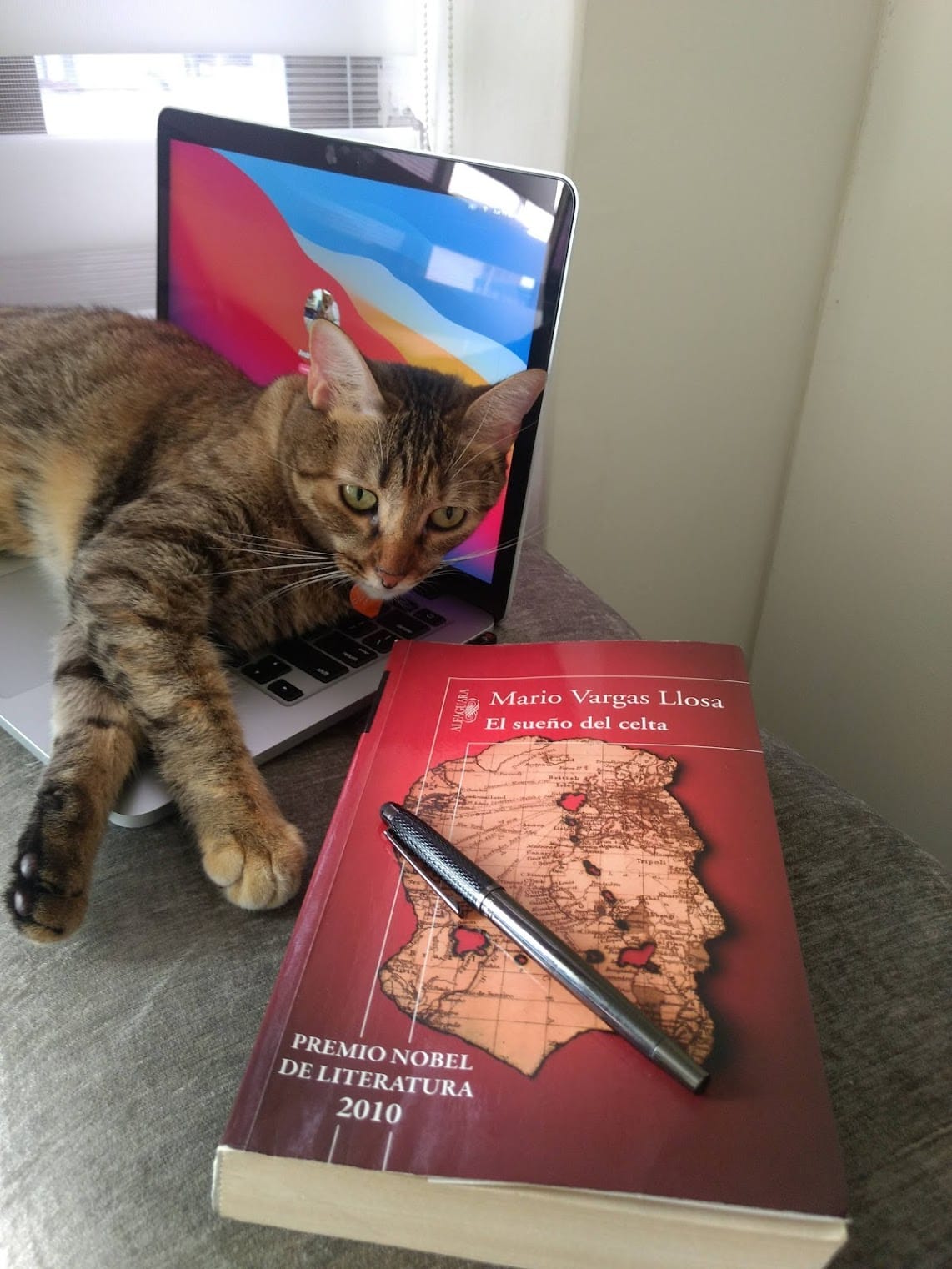 Marzo 1 de 2021 - El Sueño del Celta