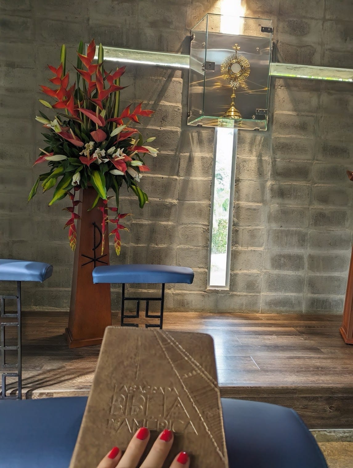 Mayo 1 de 2022 - La Biblia