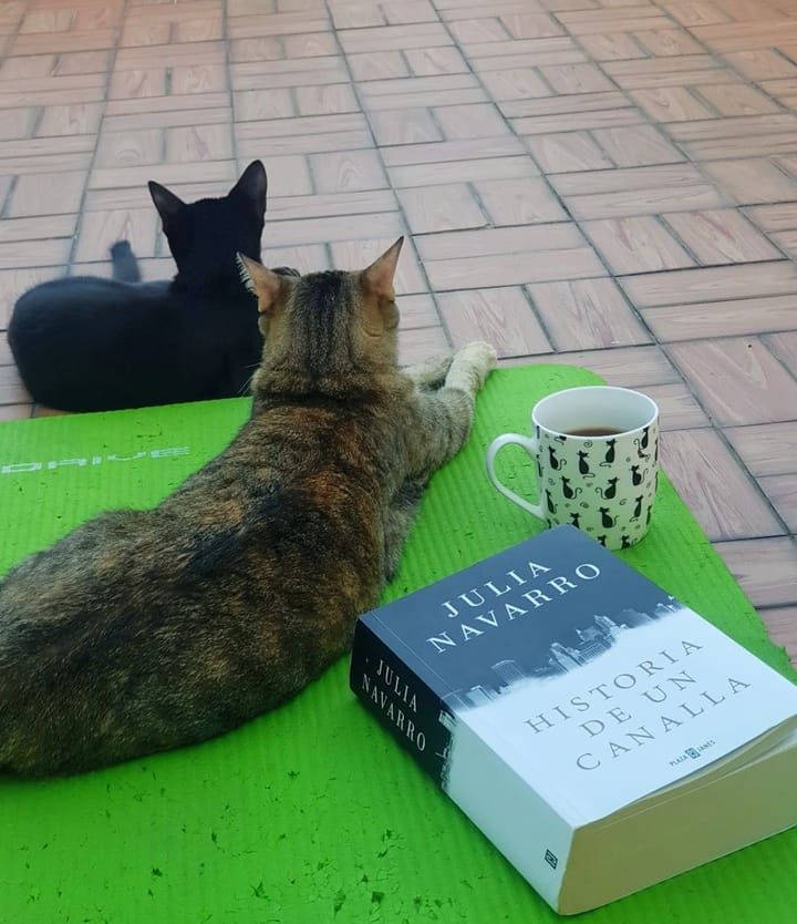 Mayo 22 de 2021 - Historia de un Canalla